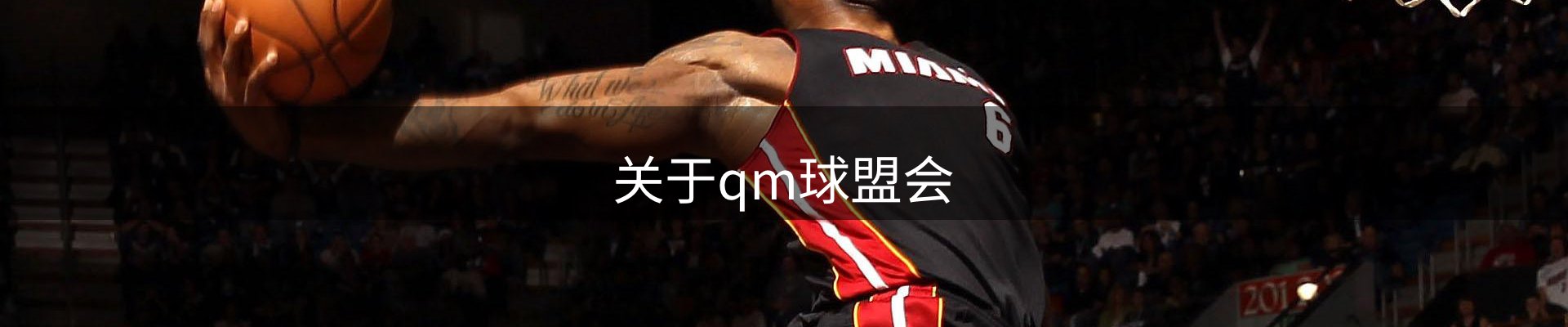 关于qm球盟会